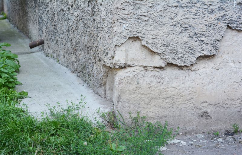 Foundation Damage Repair